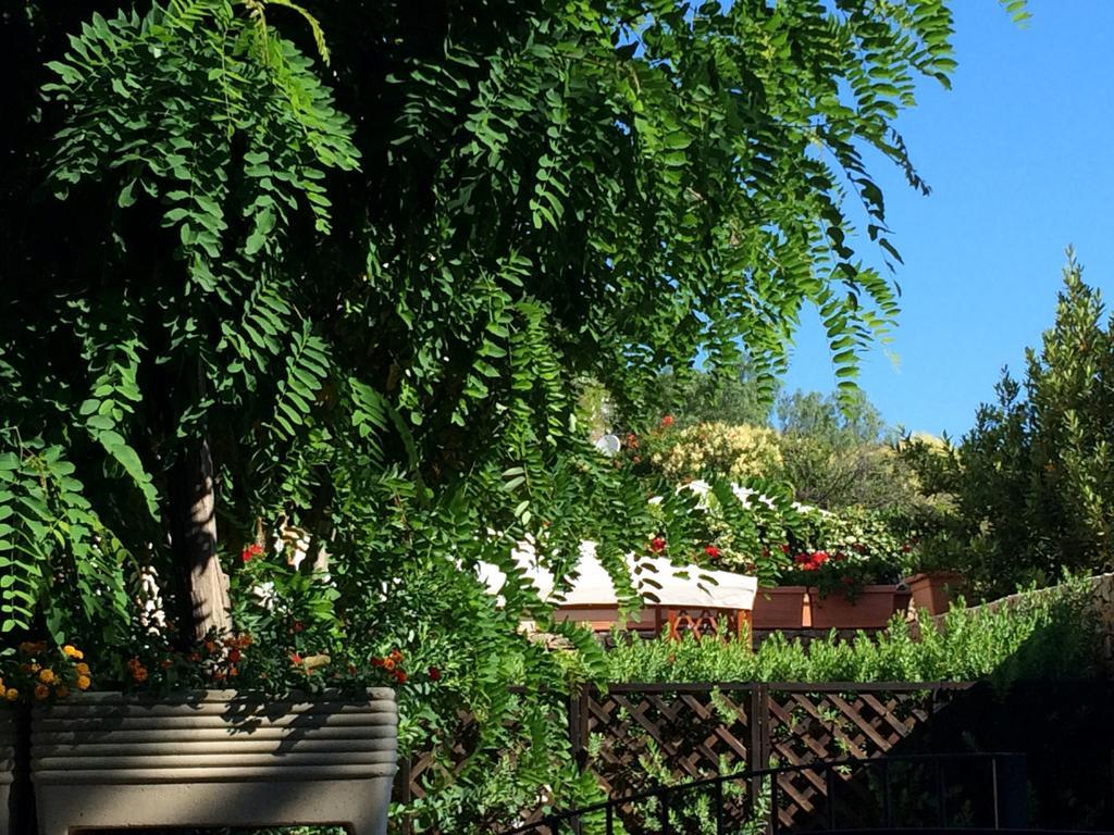 Villa Giuliana San Vito Lo Capo Cameră foto